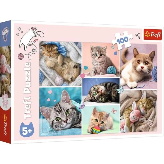 In The Cat World 100 Piece Jigsaw Puzzle