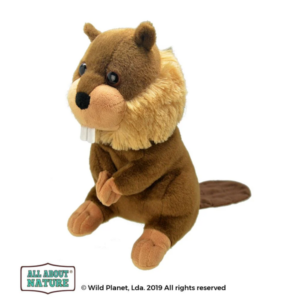 All About Nature Beaver 25cm